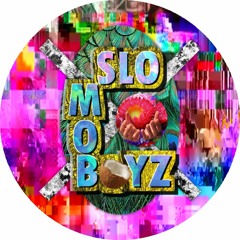 SlomoboyZ