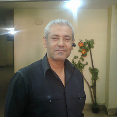 hamada elgamed