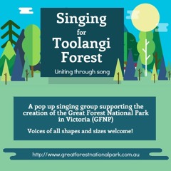 Singing for Toolangi