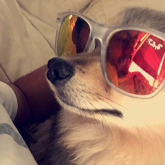 abiboolin