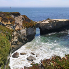 William Betancourt Losada