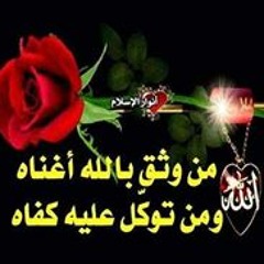 user782019109