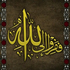 Hossam Abo Elfetouh