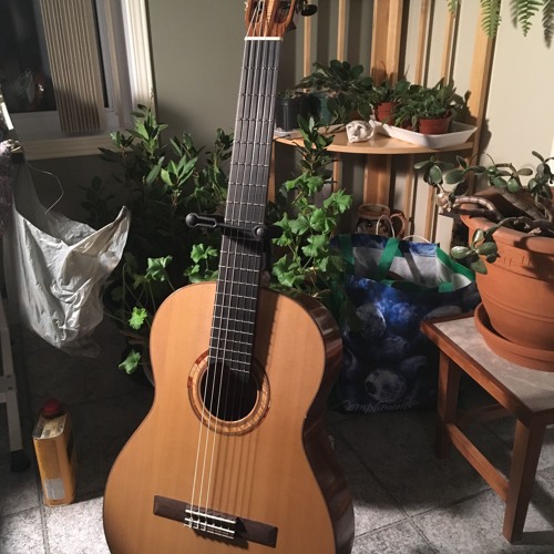 Lutherie Lacasse’s avatar