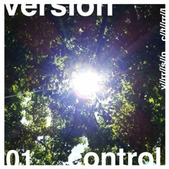 **version control**