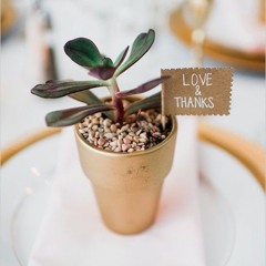 Bên Trên Tầng Lầu - Báo Mắt Biếc Ver (Châu Hải My Cover)