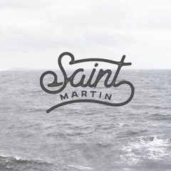 saint martin project