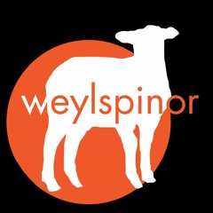 weylspinor