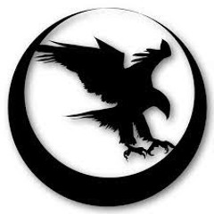 Nighthawk 4582