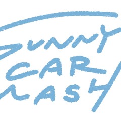 SUNNY CAR WASH