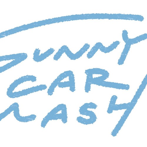 SUNNY CAR WASH’s avatar