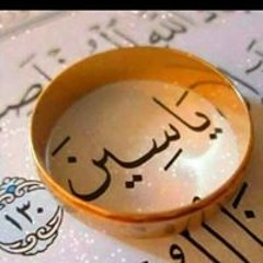 Sara Elawadly