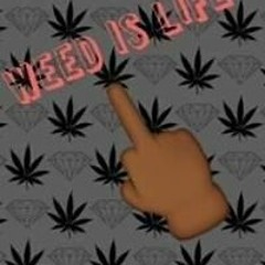 Shmateo Reverse King