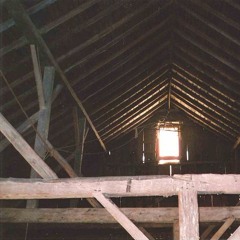 Among the Rafters