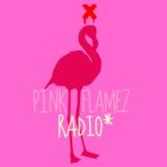 PINK FLAMEZ RAIDO