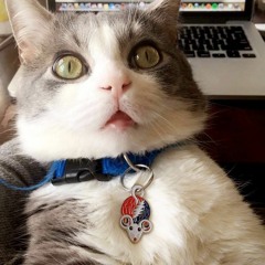 wubalubadubdub!