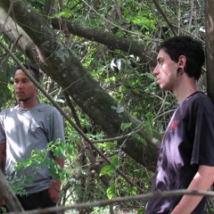 ▲ INTERNO  RAP ▼