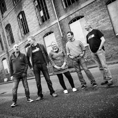 The Purple Aardvark Project