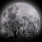 NICHTMOON