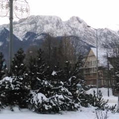 Krzysztof K