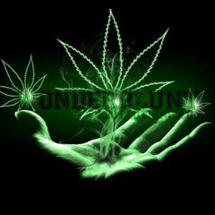 Rene Pascal Steinbauer