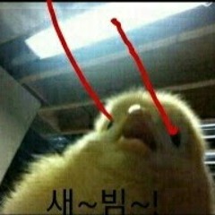 user514240