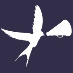 Collegium Management