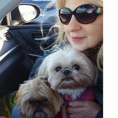 singersongwriterpianist