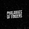 Phalanxes of fingers