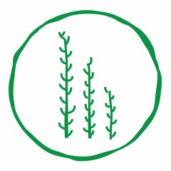 Samphire Festival