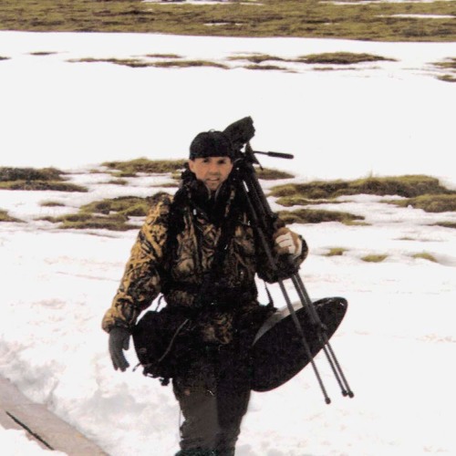 Stream Swainson's Thrush song while migrating? by MagnusRobb | Listen