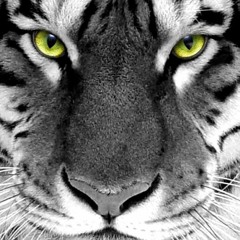 Jendrik Hägerbäumer