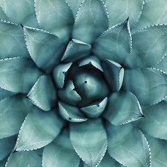 Suzanne Teresa Hartman