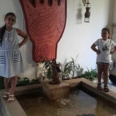 nadin harb