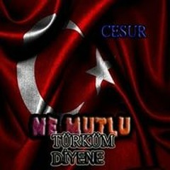 Yıldırım Cesur