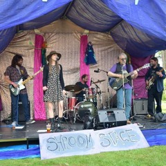 Weird Sleeping Kittens