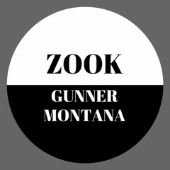 Zook x Gunner