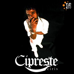 Cipreste Ciris