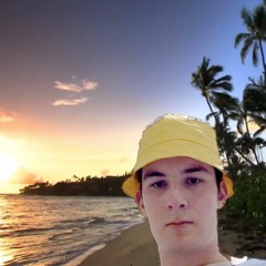 Dj Dondelion
