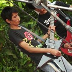 vieh