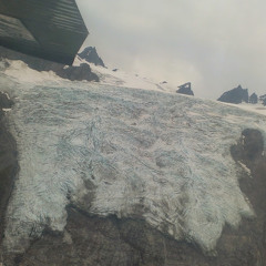 Qassie William Stone