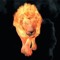 ARYE_JUDAH