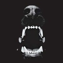 bullshavehorns
