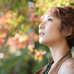 Little Wing Gt.Acoustic