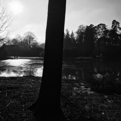Calvin Verbeeck