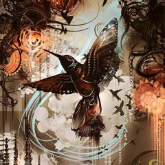 kolibri birdie