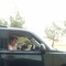 Matt Fournier