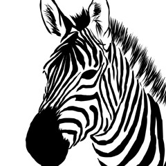 Zebra Composer