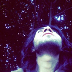 The Psychedelic Drugs