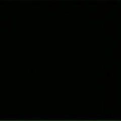 nguyễn tùng dương